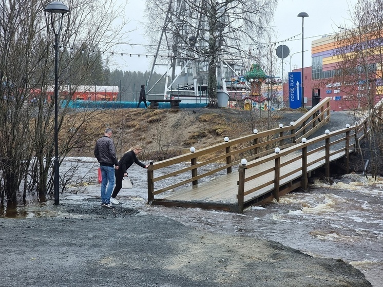 Жители Петрозаводска прыжками через реку добираются до торгового центра