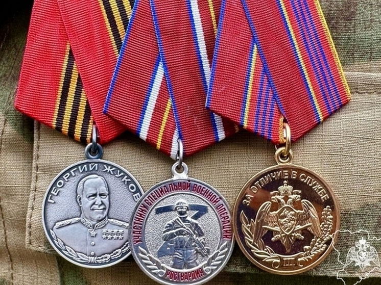 В Волгограде медалью Жукова наградили росгвардейца, отличившегося в зоне СВО