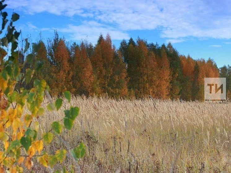В Татарстане подготовились в пожароопасному сезону в лесах