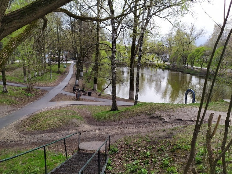 В Кремлевском парке Вологды очистили пруд