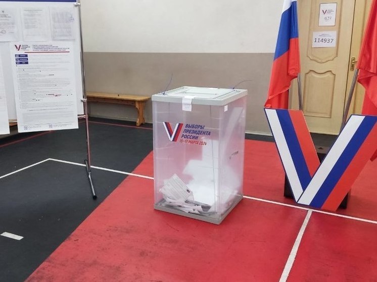 Избирком озвучит результаты проверки видео со вбросами на выборах после заседания суда в Петербурге