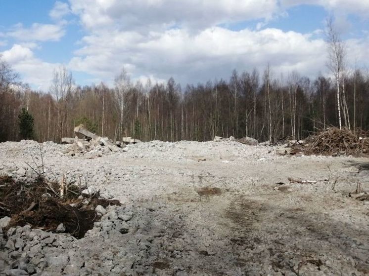 В Дмитрове обнаружили незаконную свалку бетона после демонтажа