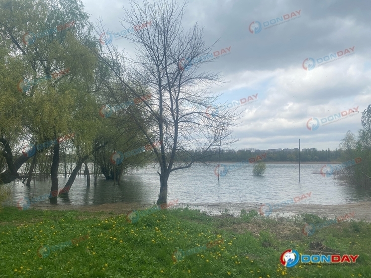 Левобережье Ростова ушло под воду из-за сильного ветра