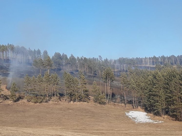 Четыре пожара произошло в лесах Приангарья за сутки