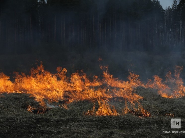 МЧС Татарстана напоминает о запретах в особый противопожарный режим