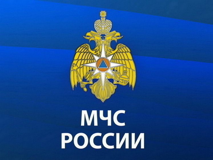 МЧС 16 апреля сообщило об обстреле посёлка Тёткино в Курской области