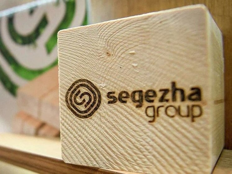 Segezha Group изменила структуру управления активами