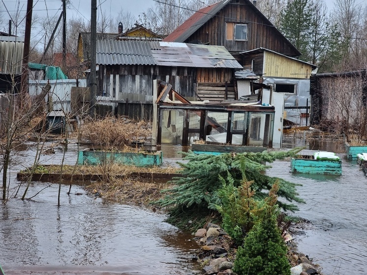 Деньги выделят из резервного фонда Петрозаводска для борьбы с затоплениями