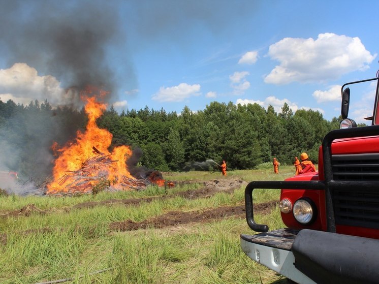 Пожароопасный сезон объявлен в лесах Нижегородской области с 17 апреля