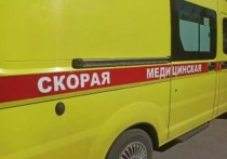 В Ростовской области мужчина умер во время задержания полицейскими