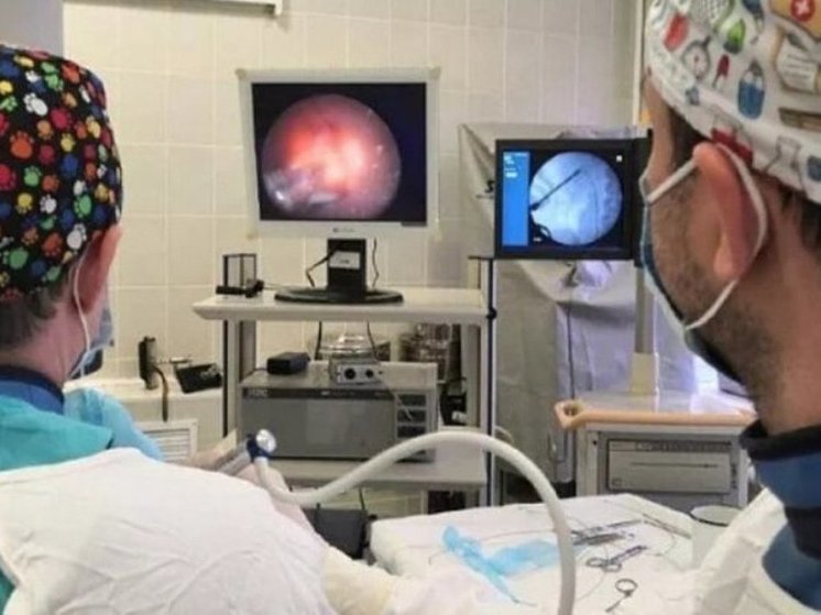 В Туле урологи удалили пациентке камни из почек без больших разрезов