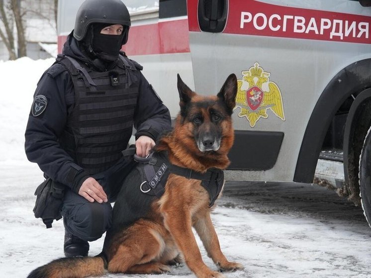 Собака Росгвардии нашла схрон с тротилом в Архангельской области