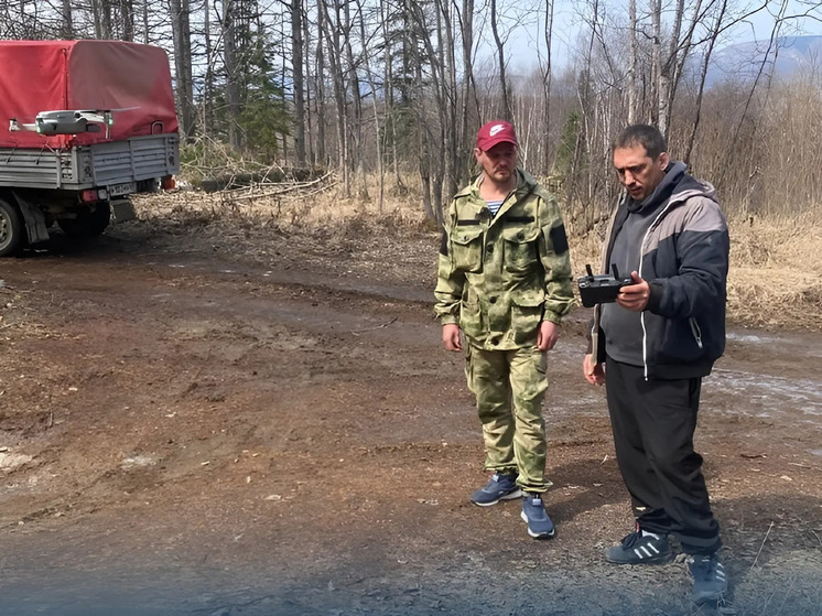 На Сахалине используют БПЛА для восстановления лесов