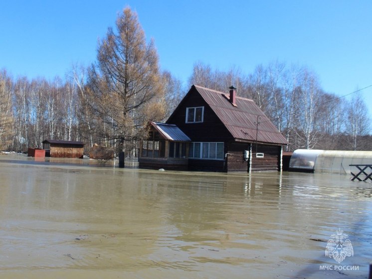 Уровень воды в Томи в черте Томска за ночь упал