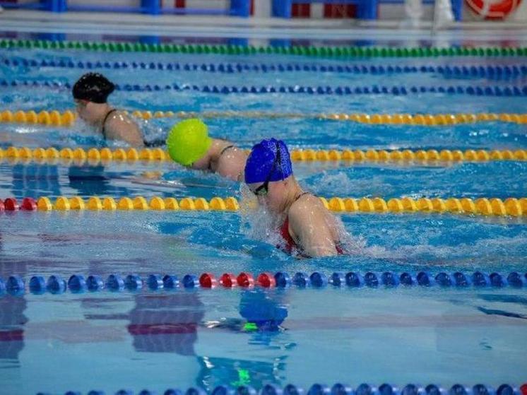 Пловцы из Хабаровска отличились на первом этапе Кубка Дальнего Востока