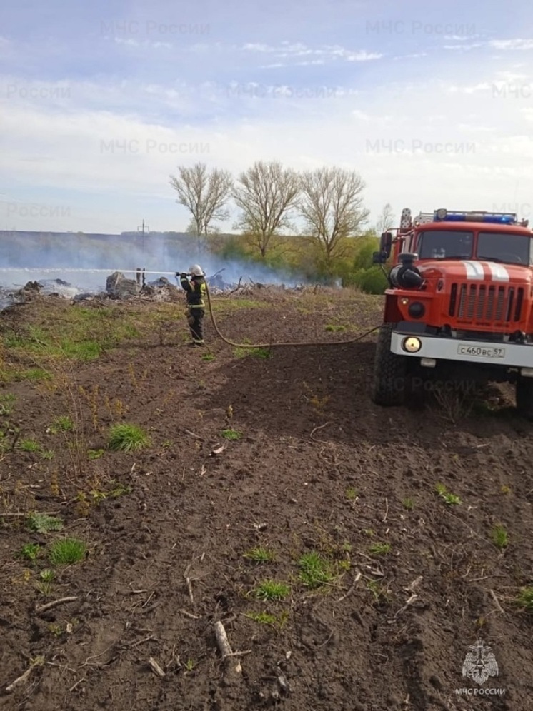 Орловские спасатели проводят административные расследования из-за фактов горения сухой травы