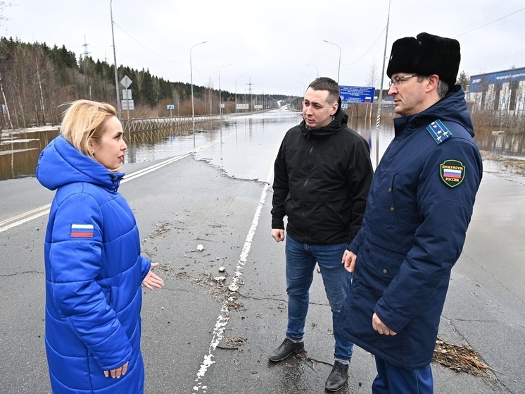 Прокуратура проверит, как откачивают воду с затопленного ФОКа в Петрозаводске