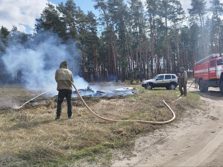 Первые в этом году лесные пожары фиксируют в Подмосковье