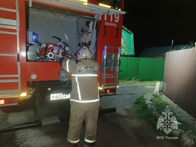 Пожарные в Татарстане в 2024-м 24 раза выезжали тушить траву и камыш