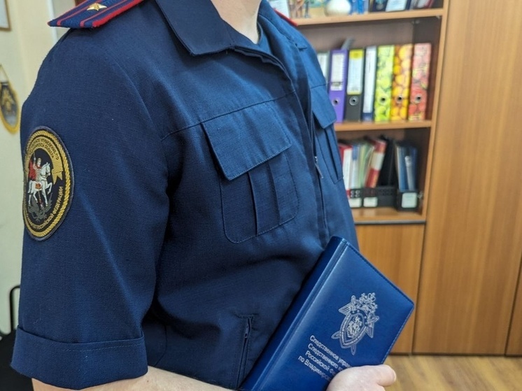 Адвокат и экс-полицейский из Петушков осуждены за мошенничество