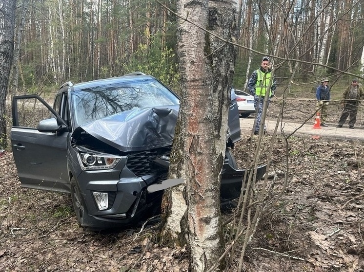 В Ермишинском районе водитель Hyundai врезался в дерево и погиб
