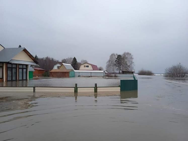Семья из Томска подсчитывает ущерб от наводнения в Алаево