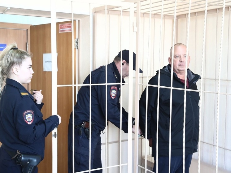 В Новосибирске суд избрал меру пресечения бывшему директору МБУ «Горсвет»