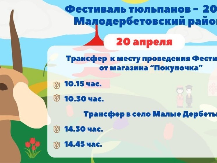 Как жителям Калмыкии добраться на Фестиваль тюльпанов в Малодербетовском районе