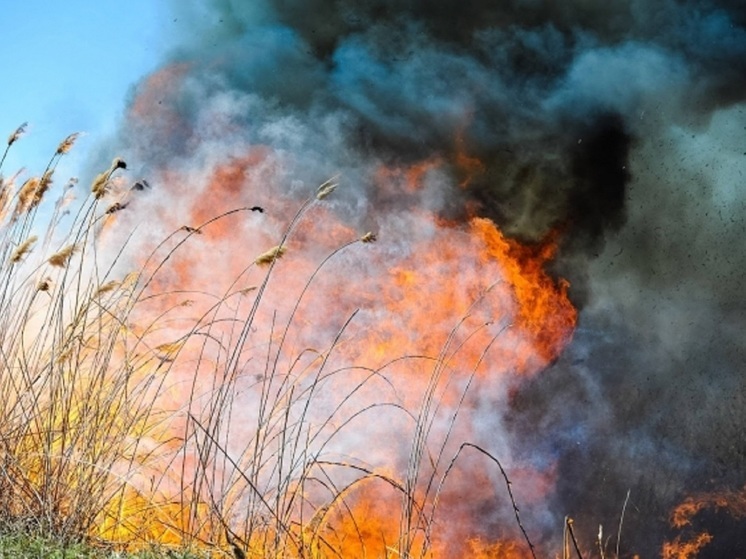 МЧС предупредило астраханцев о запахе гари из-за возгорания сухой травы