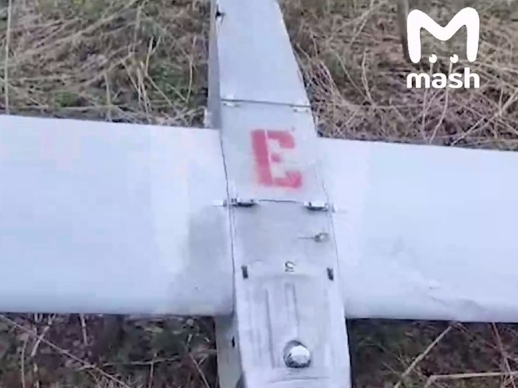MASH: в лесу в Тверской области мужчина во время прогулки с собаками наткнулся на вражеский дрон