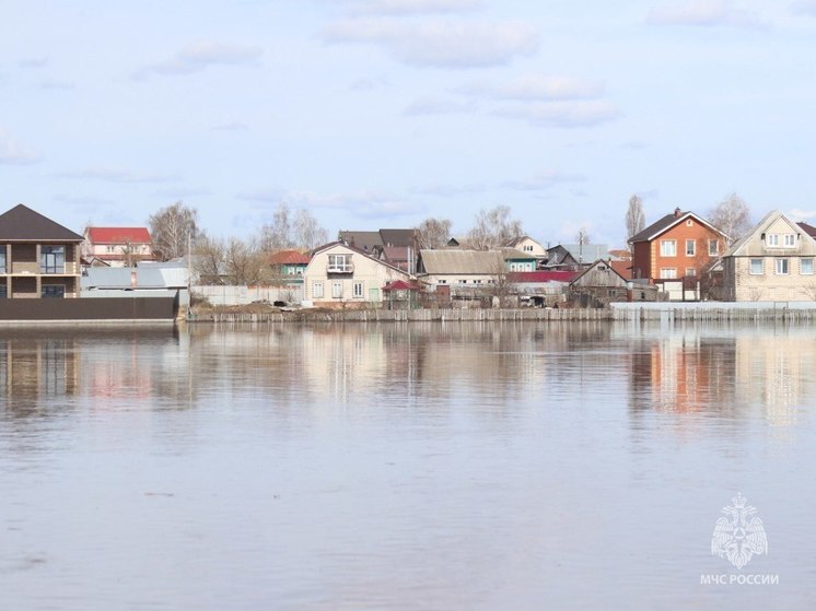 В Рязанской области освободились от воды 98 приусадебных участков и участок дороги