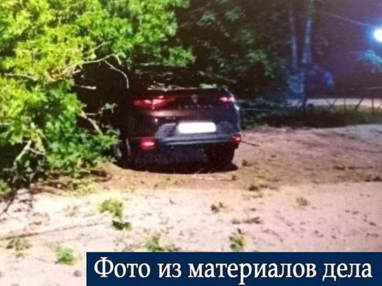 Жительница Курска смогла отсудить 500 тысяч за упавшее на её авто дерево