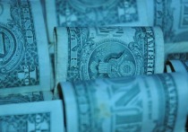 Экономист Денис Ракша объяснил, чем вызван такой резкий скачок курса доллара