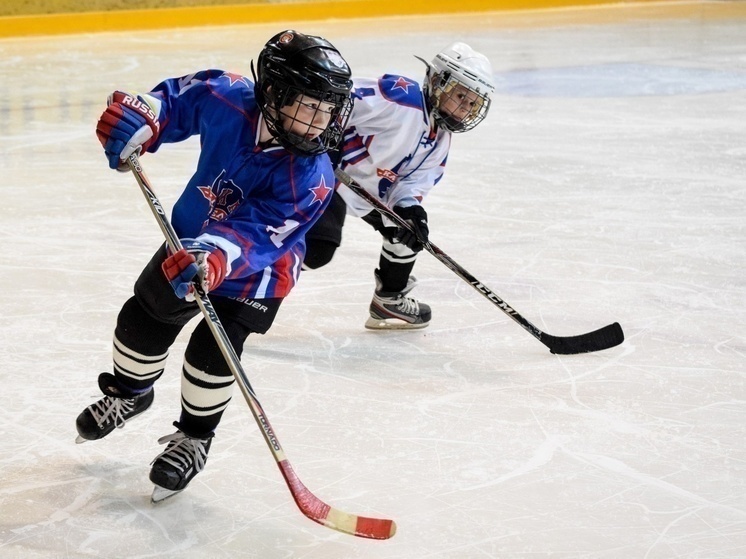 Правительство Карелии взяло под крыло юных хоккеистов, лишившихся спонсоров