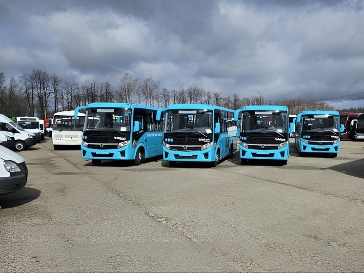 36 новых автобусов для муниципалитетов Поморья брендированы в едином стиле