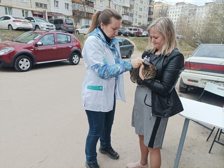 Бесплатная вакцинация домашних животных пройдет в Нижнем Новгороде 18 апреля