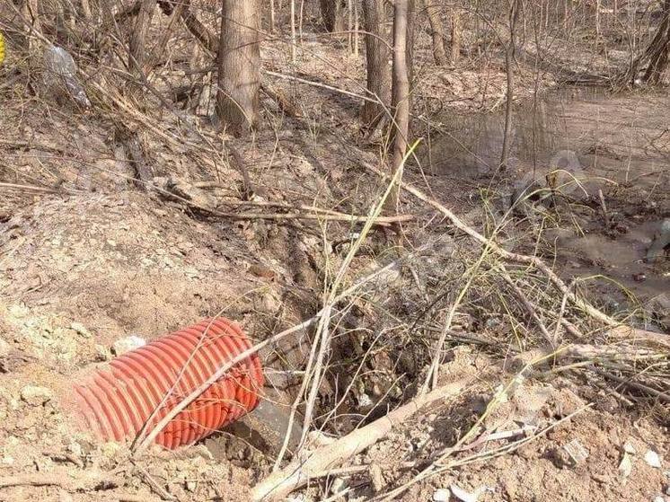 Тульская компания сбрасывала сточные воды в приток ручья Рогожня