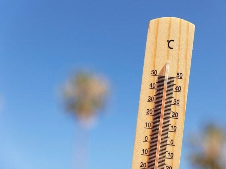 Аномальная жара накроет Тамбовщину 18 апреля