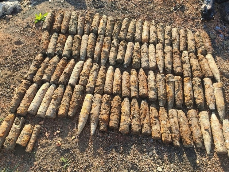 На Кубани взрывотехники ликвидировали свыше 120 снарядов времён ВОВ