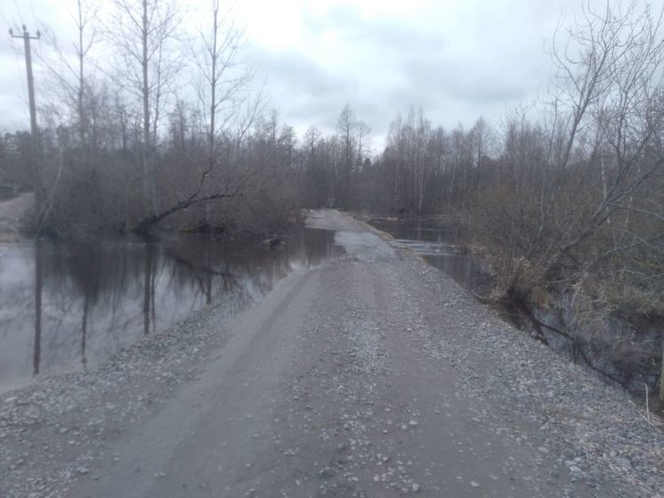 В Приозерске наблюдается повышение уровня воды из-за поводка