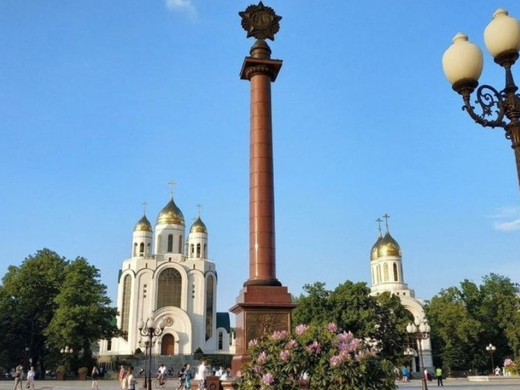 Калининградскую епархию РПЦ предупредили об административке из-за обрезки деревьев