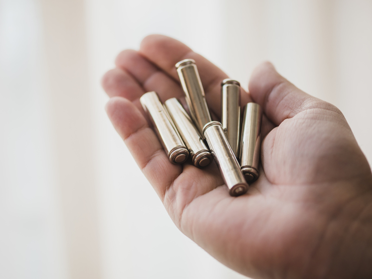Тамбовские росгвардейцы за неделю изъяли 29 единиц нелегального «огнестрела»
