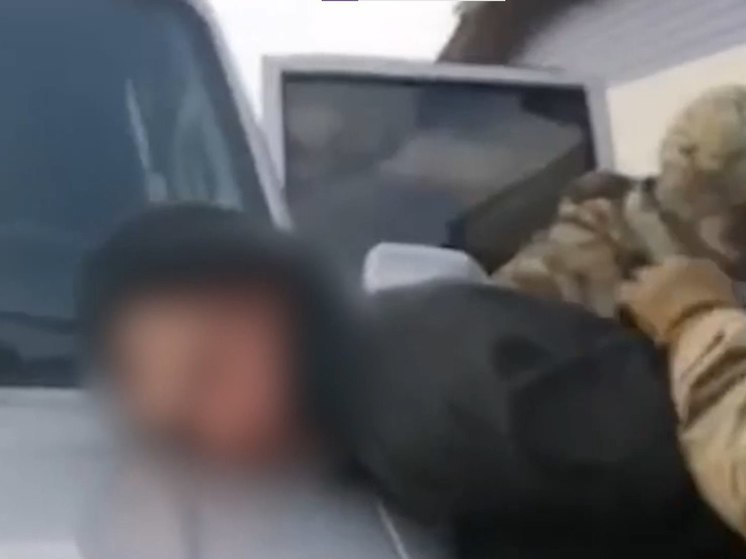В Хакасии задержали мужчину за вырубку сосен на 2 млн рублей