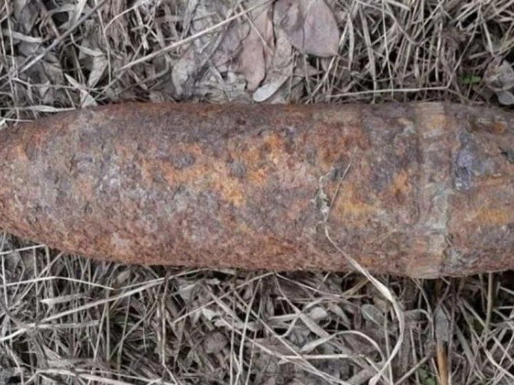 В Смоленской области найдены и обезврежены взрывоопасные предметы времён Великой Отечественной войны