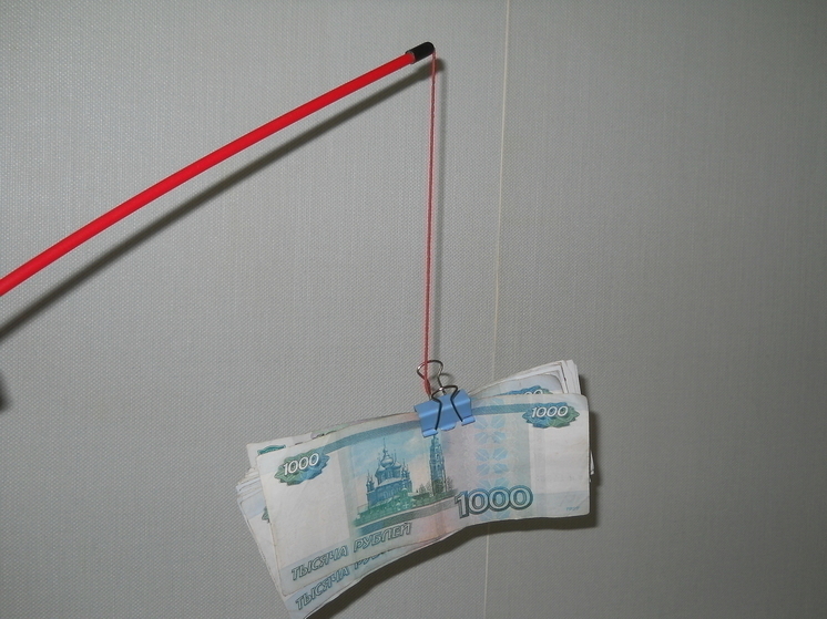 В Прикамье за хищение у пенсионеров более 3 млн рублей осужден финансовый эксперт