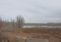 Сакмара может затопить 428 жилых домов и 463 приусадебных участка в Оренбуржье