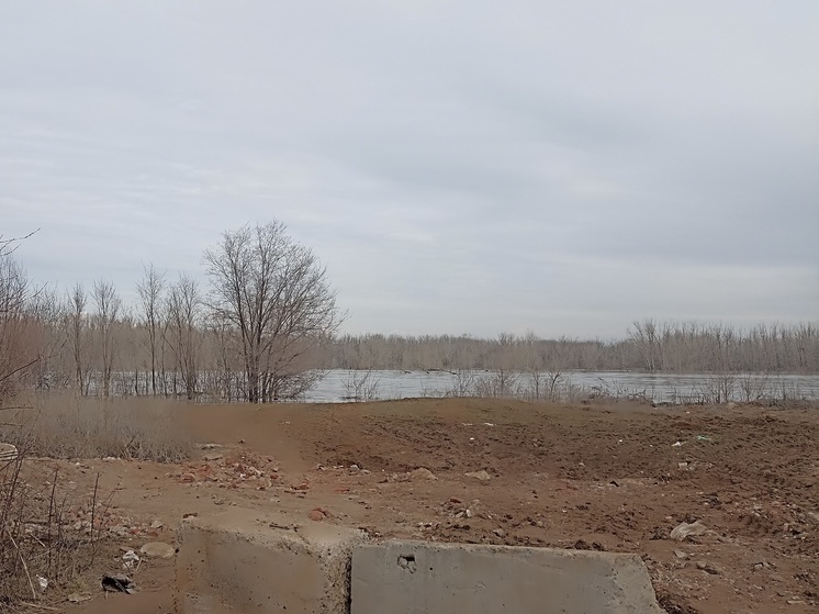 Сакмара может затопить 428 жилых домов в Оренбуржье