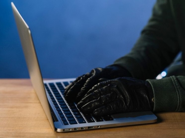 Ветеранов ВОВ предупредили о новой схеме мошенничества в интернете