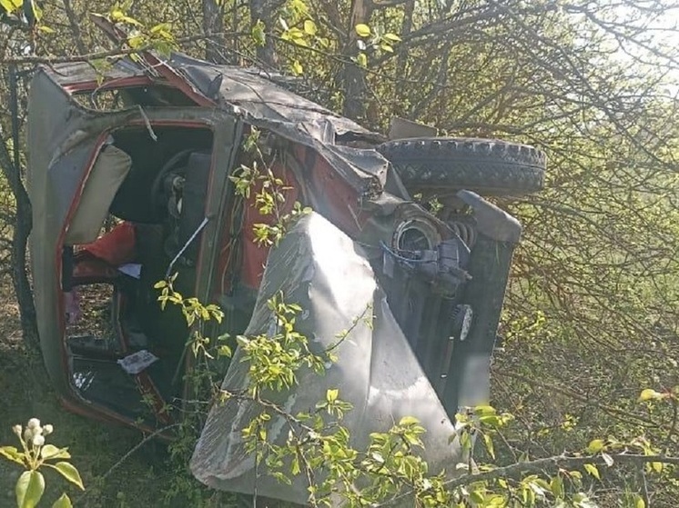 В Волгоградской области «Нива» перевернулась в кювет, пострадали 2 человека