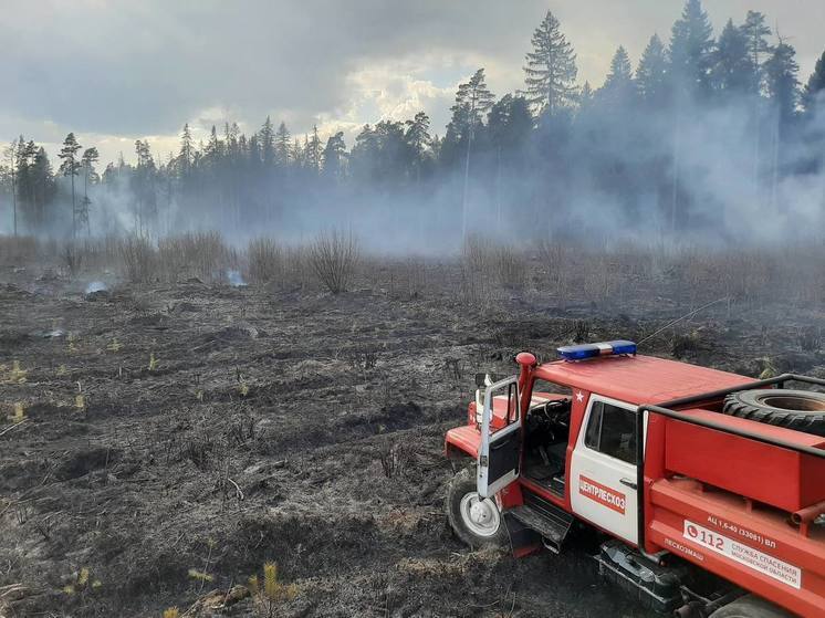 Специалисты Подмосковья готовы к ЧС в случае лесных пожаров